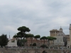Rome-442