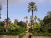 Sevilla-101