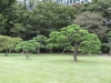 Tokyo-099