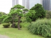 Tokyo-102