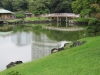 Tokyo-105