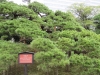 Tokyo-115